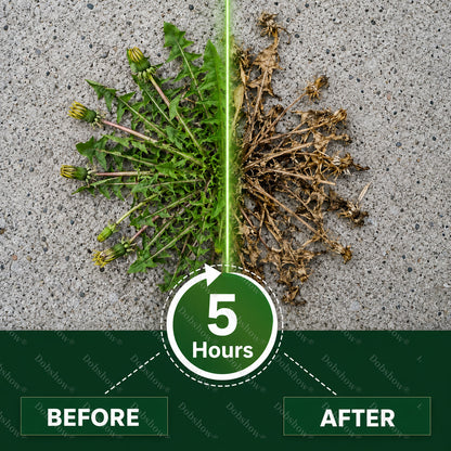 🏆🔥DR.HONOR® 5-Hour Max Power Dual-Action Herbicide | Fast-Acting Granules for Stubborn Weeds & Brush